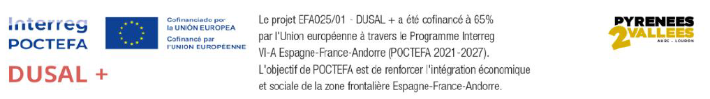 viesule logo et phrase poctefa