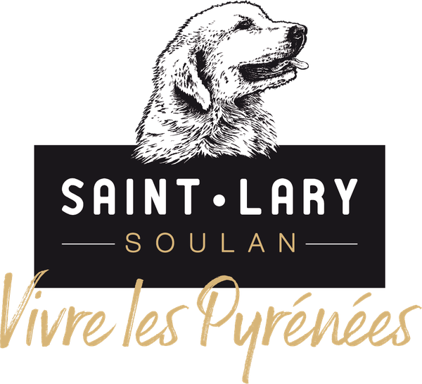 logo st lary