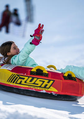 luge
