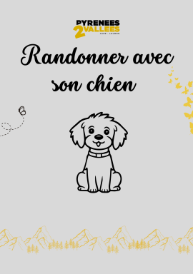 visuel randonner avec son chien
