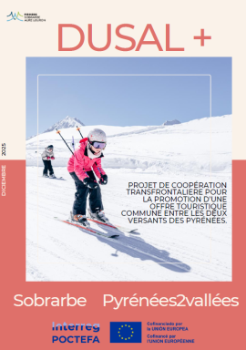 visuel dusal decembre 2025