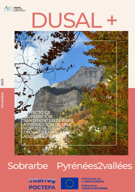 visuel dusal novembre 2025 