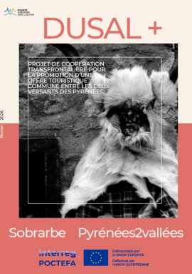 visuel 	6ème Newsletter DUSAL +