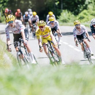 TDF
