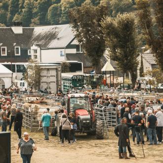 foire aux bestiaux MDP