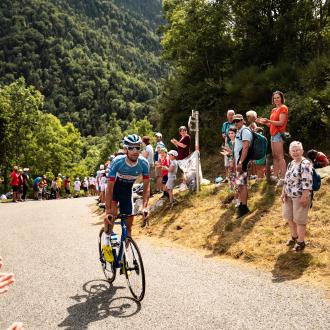 TDF
