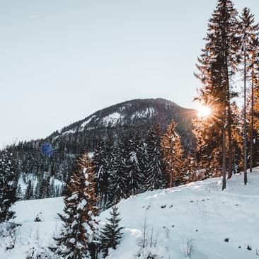 Découvrez le Sobrarbe dans un Winter Trip inoubliable !