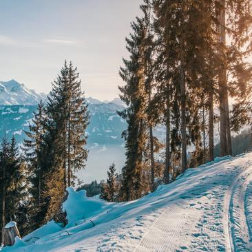 A Pyrénées2vallées, initiez-vous au ski de fond