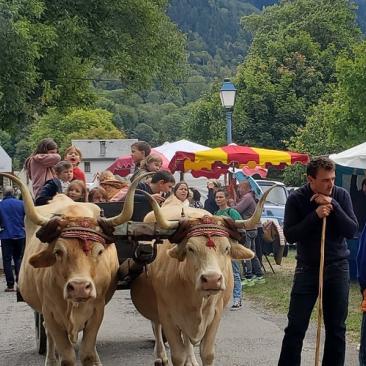 Foire Saint-Michel Guchan