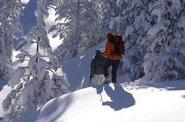 RAQUETTES A NEIGE