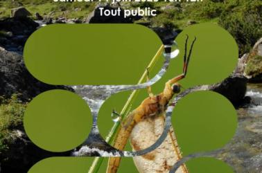 Affiche RNR IBGN - 1 Affiche RNR IBGN - 1