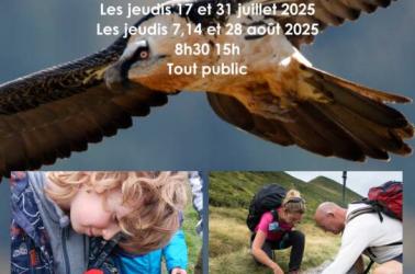 Découverte de la réserve avec un accompagnateur en montagne Découverte de la réserve avec un accompagnateur en montagne