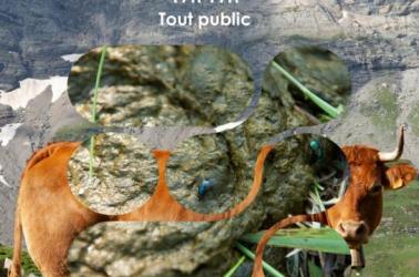 Copie de Affiche RNR Bête à bouse 