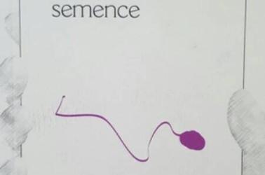 hommesemence hommesemence