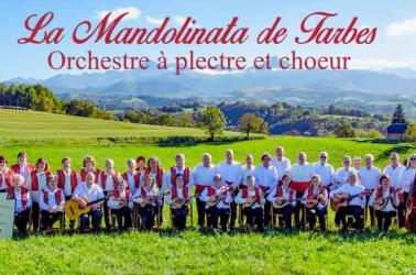 mandolinata-tarbes mandolinata-tarbes