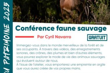 Mois du Patrimoine 2025 - 7