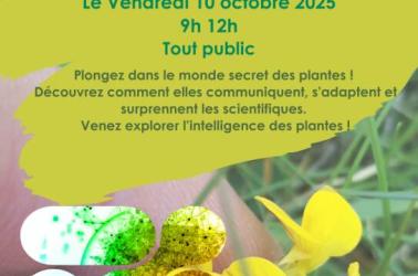 Affiche RNR Aulon Fête de la Science 2025 - 1 Affiche RNR Aulon Fête de la Science 2025 - 1