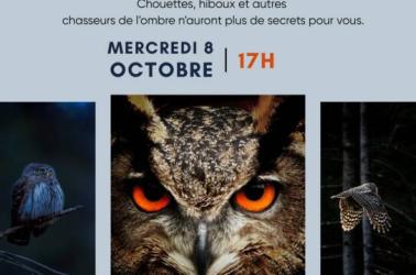 conférence les seigneurs de la nuit - 1