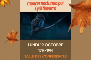 Affiches automnes Saint-Lary 2026 - conte d'automne 29 octobre