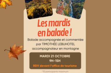 Atelier les mardis en balade - 2 Atelier les mardis en balade - 2