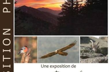 Affiche exposition