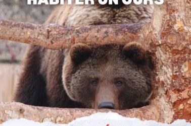 Atelier hiver 2025/2026 MDP - 6