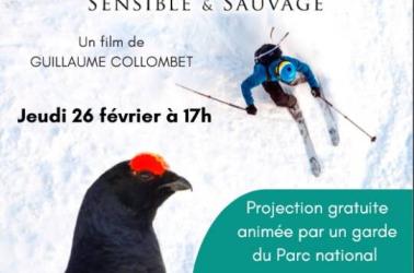 Conférence 26 02 26