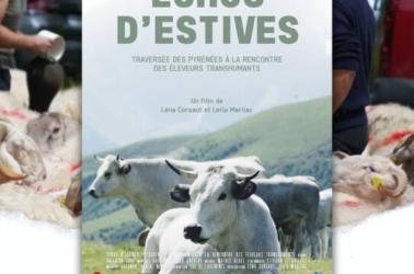 Ciné-débat - 1