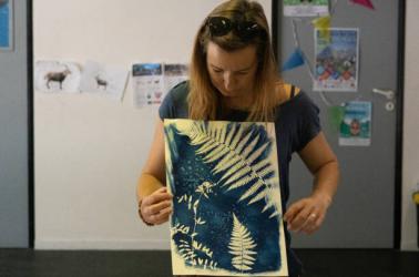 Cyanotype ©thomasaguillon_piau (32)