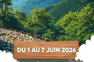 Affiche fête du pastoralisme - 2