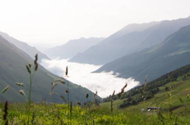 jour d'été @piauengaly (3)