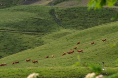 jour d'été @piauengaly (1)