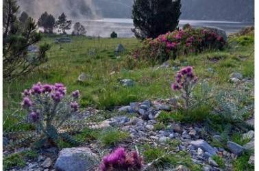 Conférence 25 08 26