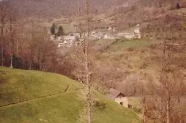 Sours
