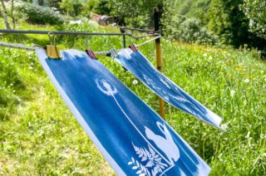 Cyanotype