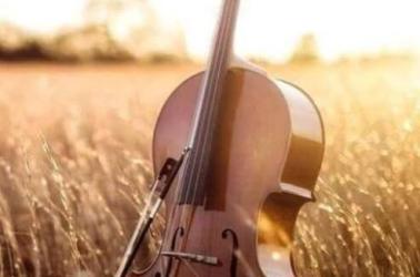 Concert Arcal 