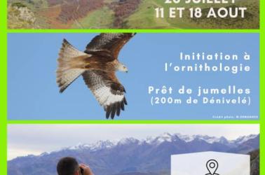 A la découverte des grands rapaces