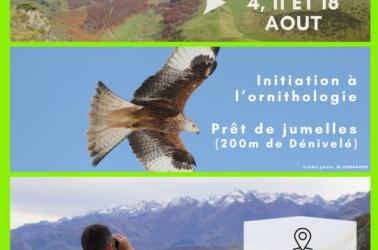 A la découverte des grands rapaces - 1
